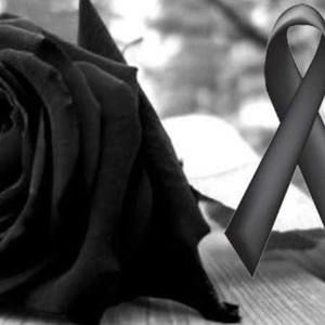 Meet your Posher, Frances